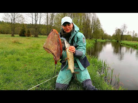 Видео: РЕКА УДИВИЛА! Веду Щуку в подсак! Рыбалка на малой реке. #326