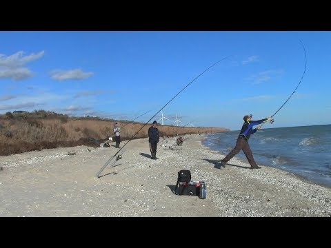 Видео: Ловля пеленгаса осенью!Очередная рыбалка!