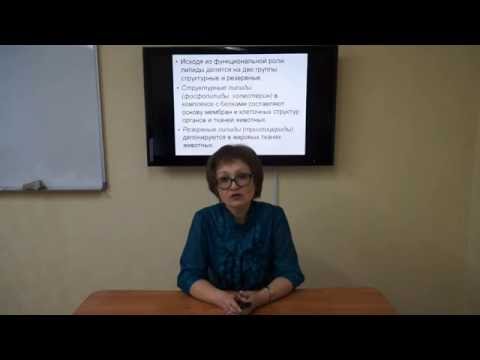 Видео: Козина Е.А. Липидная питательность кормов