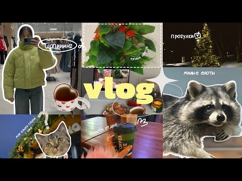 Видео: влог. моя повседневная жизнь | еноты, обзор духов и шоппинг