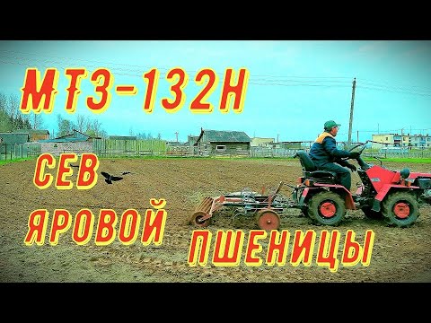 Видео: Самодельный культиватор с катком к мини трактору МТЗ-132.Закрываю зерновые