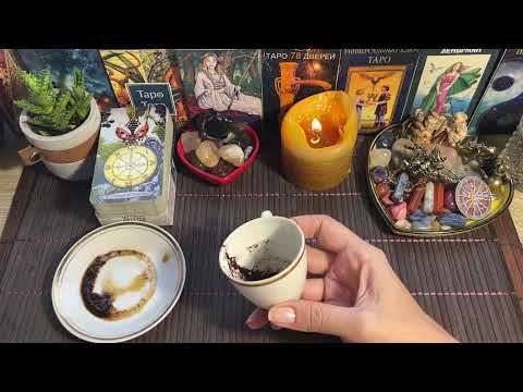 Видео: Чашка дня‼️