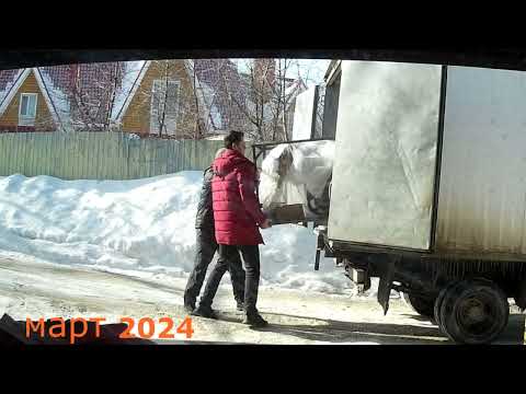 Видео: Купил Irbis TTR 250R. Сборка из коробки. 2024г.