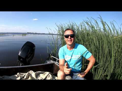 Видео: Продувка ушей на подводной охоте!!! ПАРА СОВЕТОВ!!! ЧТО ДА КАК!!!!