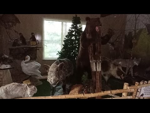 Видео: 🌲🥂🌴🦔ресторан Охотник🌳пельмени из кабанчика, лося,.....