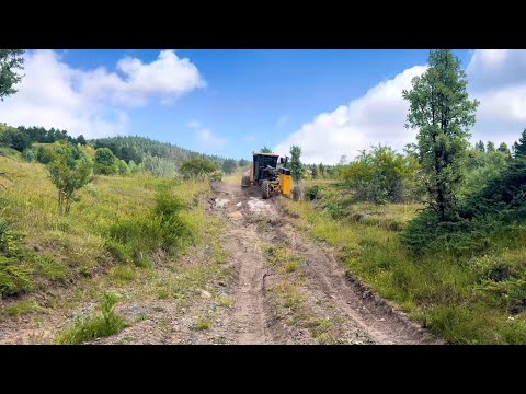 Видео: Как грейдер John Deere 670 GP пробирается сквозь зеленые леса #johndeere #motorgrader