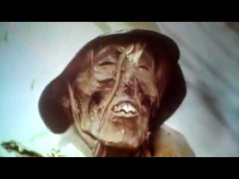 Видео: Диджей цветков и гр вирус друзья