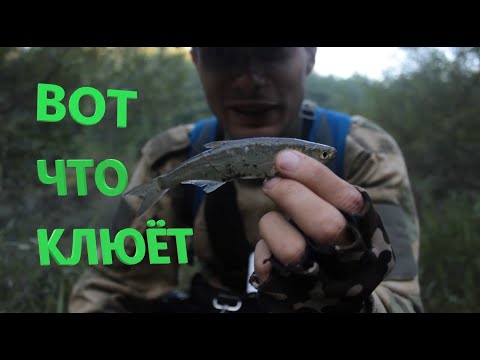 Видео: Рыбалка на мормышку. В поисках рыбы на реке. Сумасшедший окунь!
