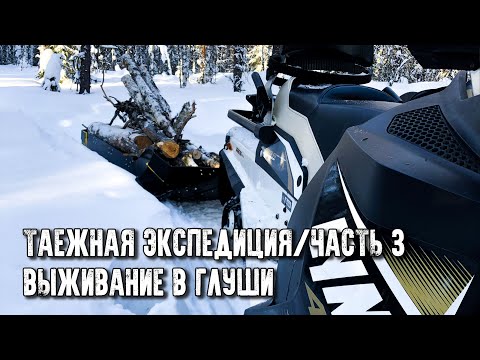 Видео: Таёжная экспедиция/Выживание в глуши/Мороз давит