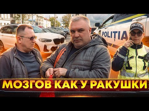 Видео: Мозгов как у ракушки🐚