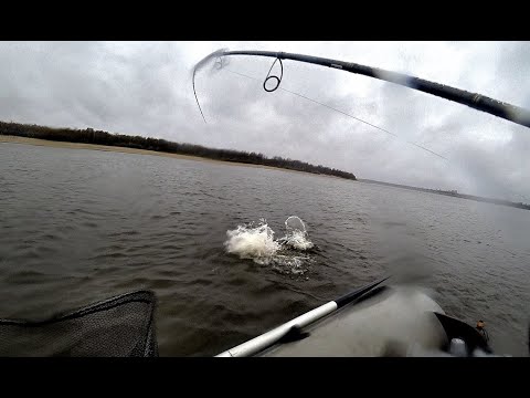 Видео: ОСЕННИЙ ЖОР НА ОБИ!!КРОКОДИЛ!! Рыбалка на джиг из прошлого, неопубликованное видео из архива 2020.