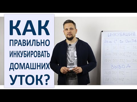 Видео: Инкубация уток / Режим инкубации утиных яиц в домашних условиях