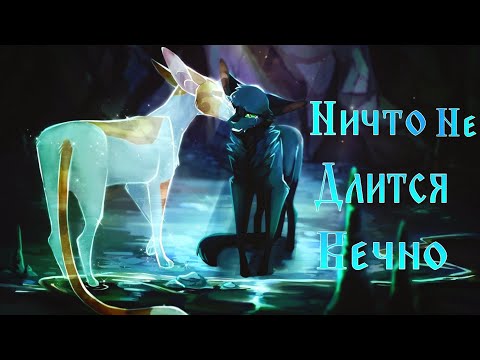 Видео: Коты Воители Листопад и Остролистая: Ничто не длится вечно [Колизей]