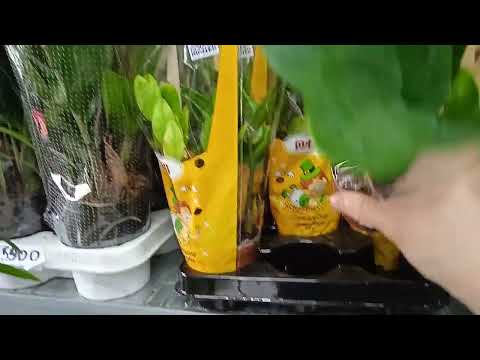 Видео: Прогулка по цветочному магазину#Караганда