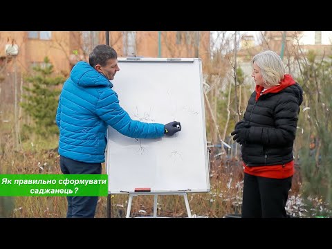 Видео: Як сформувати правильну крону у персика та нектарина?