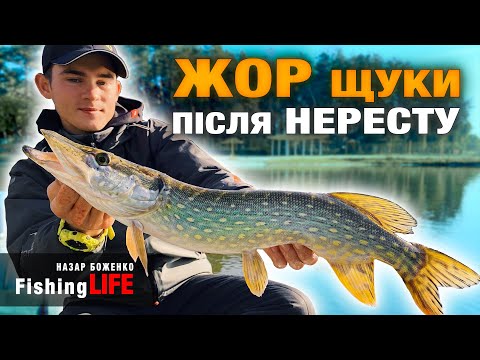 Видео: РИБАЛКА На ЩУКУ - ЖОР ЩУКИ ПОЧАВСЯ! Щука На Джиг - Рибалка 2023