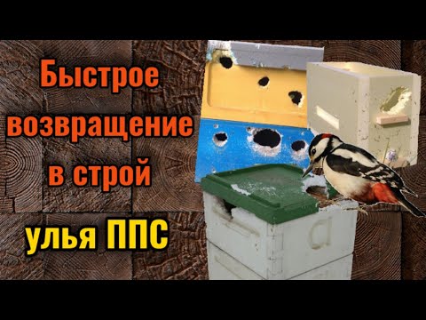 Видео: Срочный ремонт улья из пенополистирола