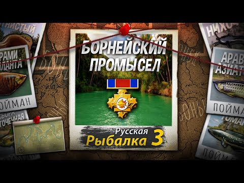 Видео: Борнейский Промысел 9 Из 9.Полное прохождение. Русская Рыбалка 3.