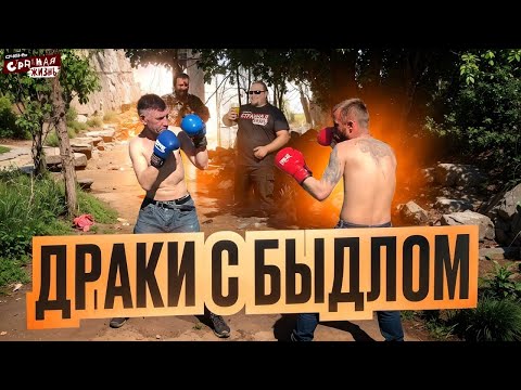 Видео: Драки с Быдлом! Неадекваты получают по заслугам: Охранники, Пассажиры Такси и Неадекватные Водители!