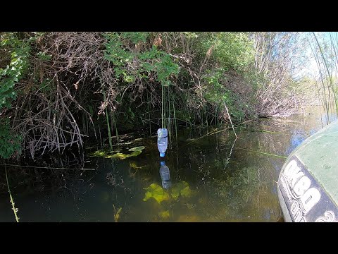 Видео: ЗАЛЕЗЛИ В ЭТИ КУШАРЫ! ВОТ ЭТО КЛЕВ! ЖАРИМ НОГИ НА УГЛЯХ! Рыбалка с ночевкой в кушарах!