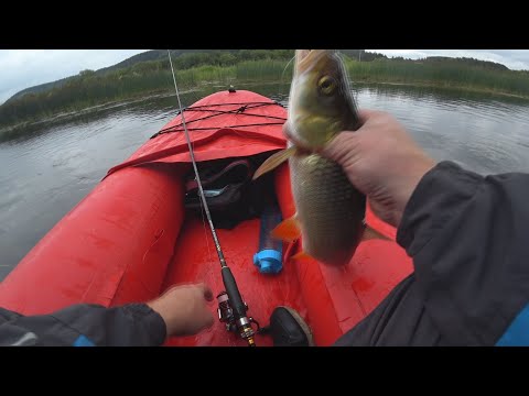 Видео: Сылвинский голавль#2  2023г.