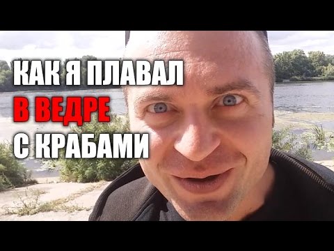 Видео: Денис Борисов - КАК Я ПЛАВАЛ В ВЕДРЕ С КРАБАМИ