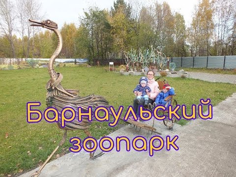 Видео: БАРНАУЛЬСКИЙ ЗООПАРК "ЛЕСНАЯ СКАЗКА"