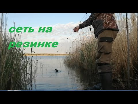 Видео: Сеть на резинке. Новый способ ловли с берега.