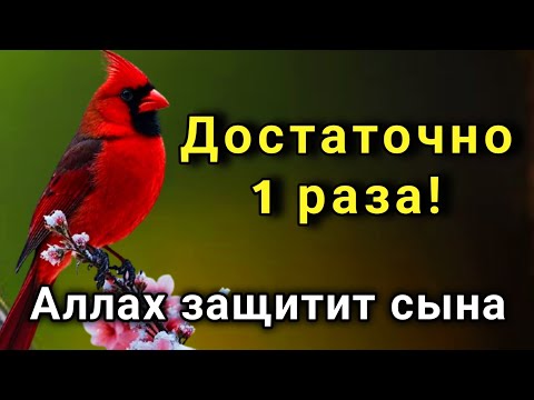 Видео: ЭТО САМАЯ СИЛЬНАЯ МОЛИТВА ЗА СЫНА!СПАСЁТ ОТ БЕДЫ ЗЛЫХ ЛЮДЕЙ ПОРЧИ СГЛАЗА СИЛЬНЫЙ ОБЕРЕГ!  🤲✨💯