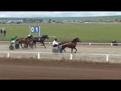 Видео: Алтаргана-2018. Иноходцы. 1600м