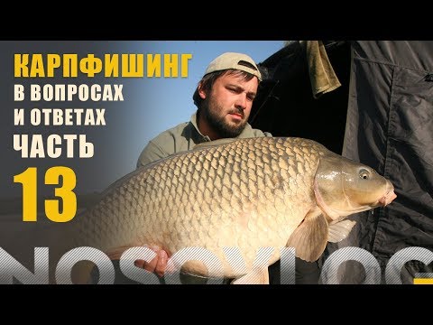 Видео: Карпфишинг в вопросах и ответах, Колесников А., часть 13