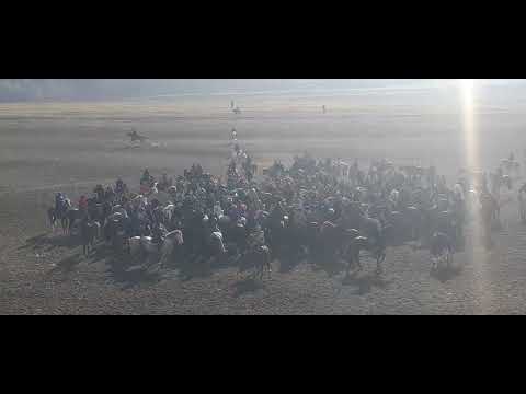 Видео: БУЗИ КАЛОН ДАР НОХИЯАИ НУРОБОД СОЛИМ УШТУР БАРЗАГОВ