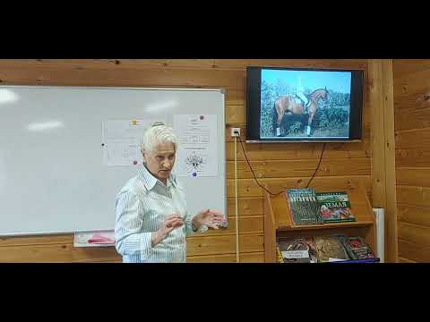 Видео: Подготовка лошади к выступлениям. Тренер по выездке Жирнова М.В.