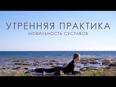 Видео: йога-флоу с заботой о теле | акцент на тбс и тонус тела | 20 минут