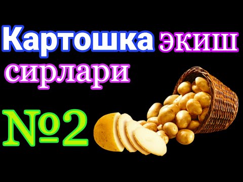 Видео: КАРТОШКА ЭКИШ СИРЛАРИ №2
