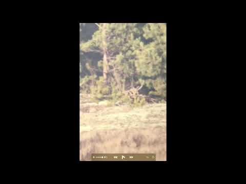 Видео: Новости Полигона 7 (Ветровые кондиции по миражу)