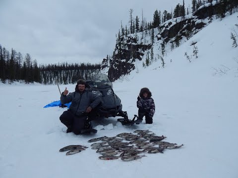 Видео: Рыбалка с Сыном!Трофейный хариус.