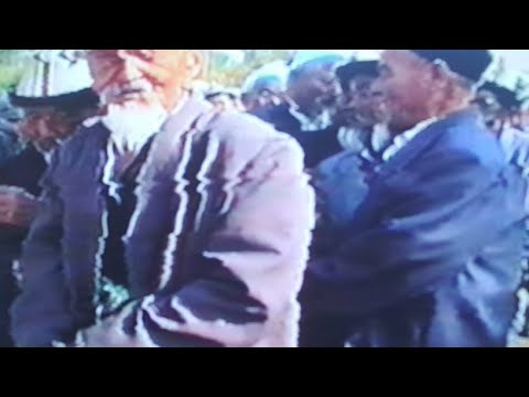 Видео: Төлөйкөн тою 1999-жыл