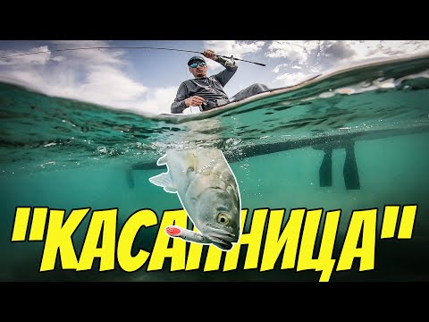Видео: ИЗЯДОХА НИ ПРИМАМКИТЕ!! БРУТАЛЕН РИБОЛОВ НА ЛЕФЕР НА ПОВЪРХНОСТНИ ПРИМАМКИ
