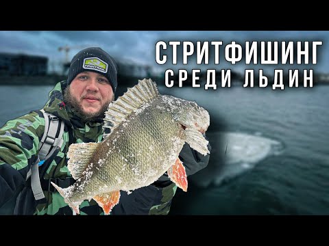 Видео: СТРИТФИШИНГ СРЕДИ ЛЬДИН / ВЫГУЛЯЛ Yamaga Blanks BlueCurrent 70TZ Nano Trippers