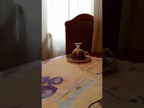 Видео: ЧЕТЫРЕ вида КЛОСТРИДИЙ в мире, с летальным исходом! Язвенный колит и клостридии.  