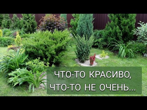 Видео: ЧТО-ТО КРАСИВО, ЧТО-ТО НЕ ОЧЕНЬ...12.06.2025г.