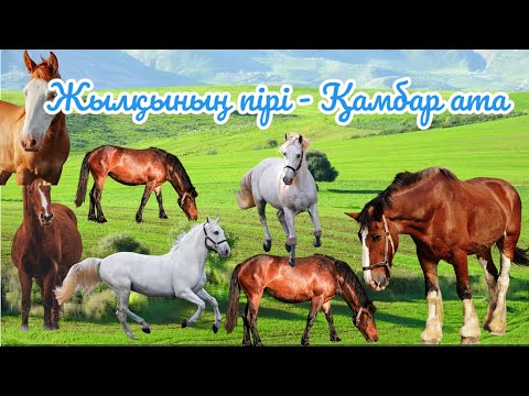 Видео: Жылқының пірі - Қамбар ата #аңыз #легенда