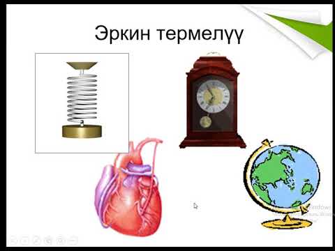 Видео: #Санарип_мугалим_Жалал_Абад#