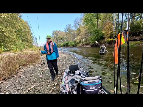 Видео: Осенняя рыбалка — река Грейт-Майами на малоротого окуня #речнаярыбалка #малоротыйокунь #рыбалкана...