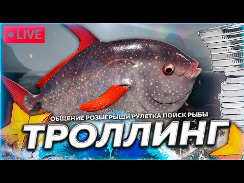 Видео: 🔥ТРОЛЛИНГ ⭐ ПОСТАРАЮСЬ ЧТО-ТО ПОЙМАТЬ 🎁 Рулетка & Розыгрыши 🏆 СТРИМ Русская Рыбалка 4