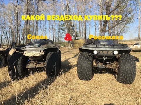 Видео: КАКОЙ ВЕЗДЕХОД КУПИТЬ??? СОКОЛ или РОСОМАХА