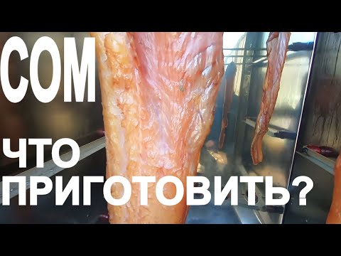 Видео: 🔴Рыба Сом! Что  можно приготовить? Холодное копчение Сома.