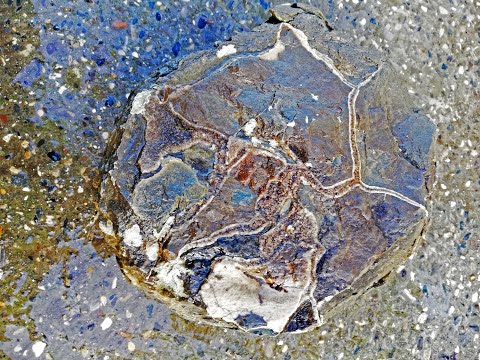 Видео: Охота за септариями