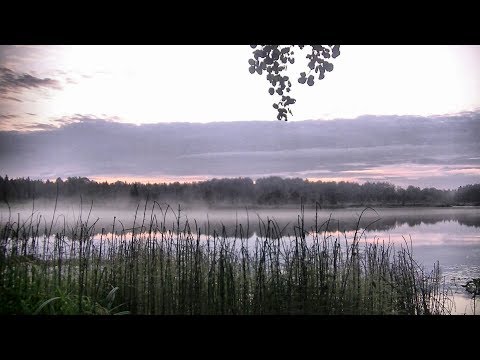 Видео: Рыбалка на безлюдном озере - чудесный отдых для души... #224